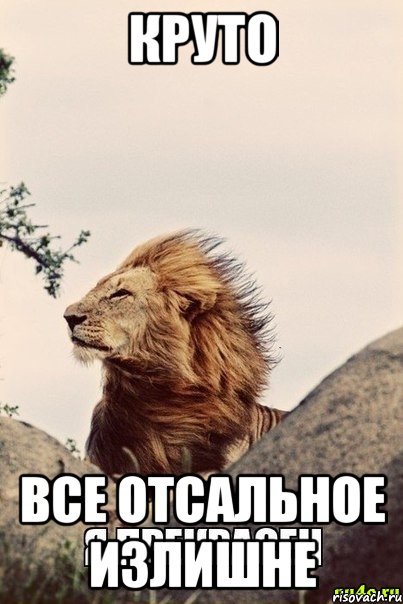 круто все отсальное излишне