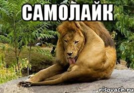 самолайк , Мем лев яйца лижет