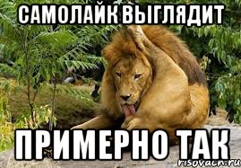самолайк выглядит примерно так