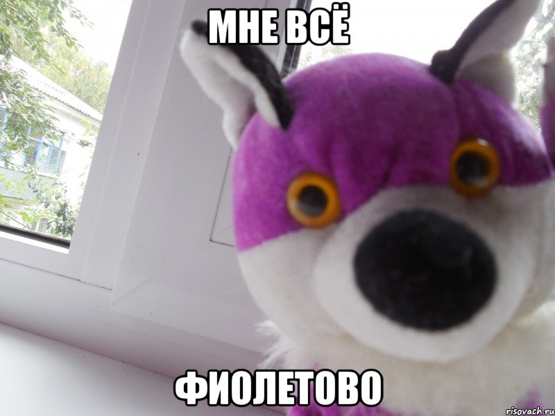 мне всё фиолетово