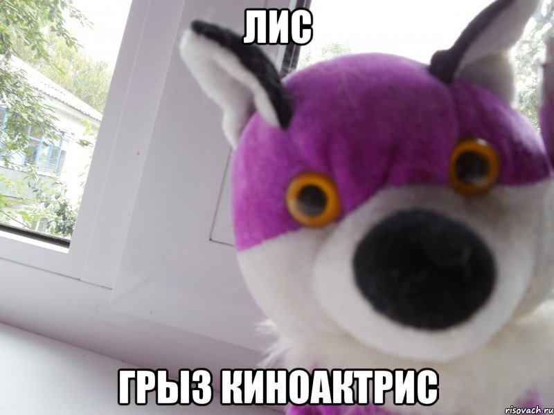 лис грыз киноактрис