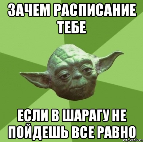 зачем расписание тебе если в шарагу не пойдешь все равно, Мем Мастер Йода