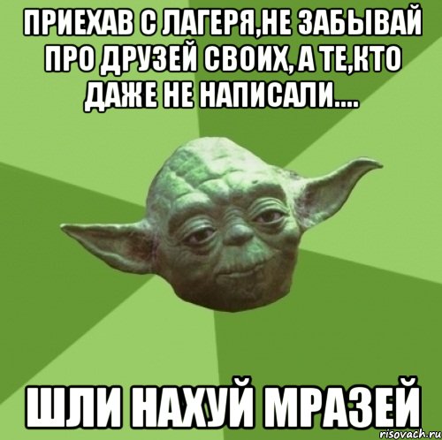 приехав с лагеря,не забывай про друзей своих, а те,кто даже не написали.... шли нахуй мразей, Мем Мастер Йода