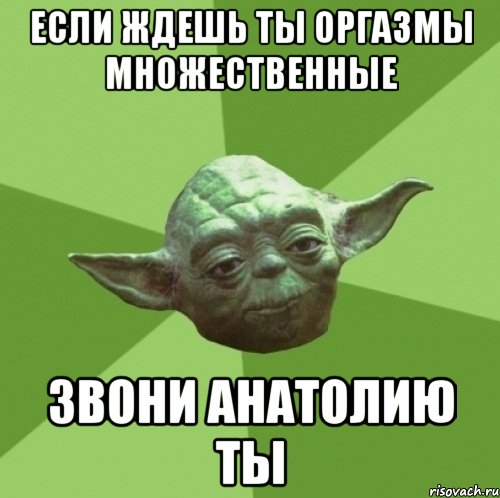 если ждешь ты оргазмы множественные звони анатолию ты, Мем Мастер Йода