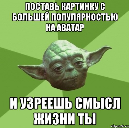 поставь картинку с большей популярностью на аватар и узреешь смысл жизни ты, Мем Мастер Йода