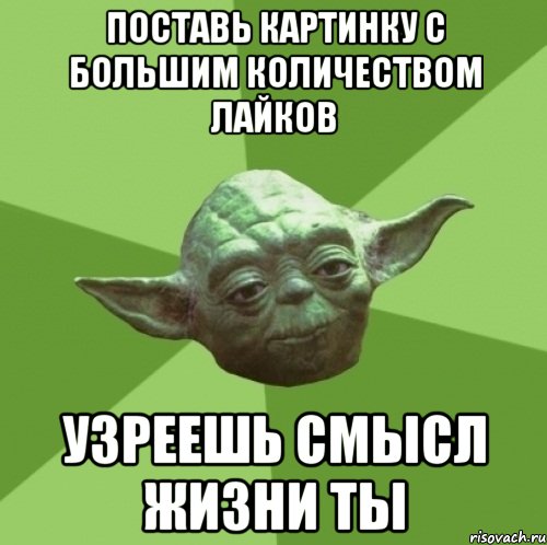 поставь картинку с большим количеством лайков узреешь смысл жизни ты, Мем Мастер Йода