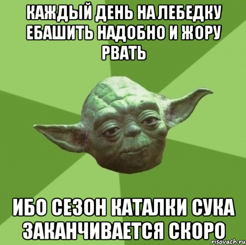 каждый день на лебедку ебашить надобно и жору рвать ибо сезон каталки сука заканчивается скоро, Мем Мастер Йода