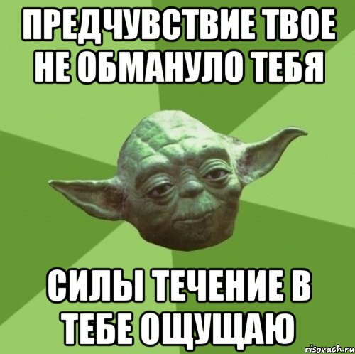 предчувствие твое не обмануло тебя силы течение в тебе ощущаю, Мем Мастер Йода