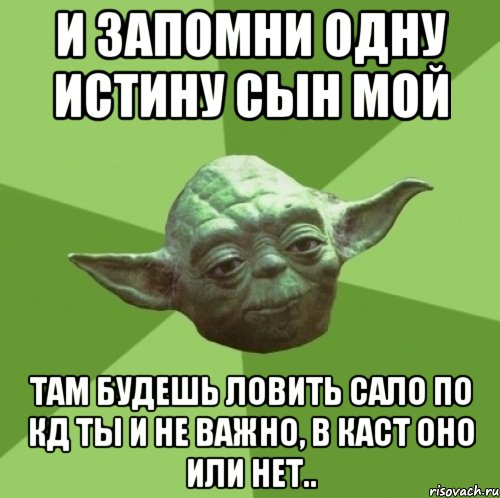 и запомни одну истину сын мой там будешь ловить сало по кд ты и не важно, в каст оно или нет.., Мем Мастер Йода