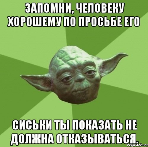 запомни, человеку хорошему по просьбе его сиськи ты показать не должна отказываться., Мем Мастер Йода