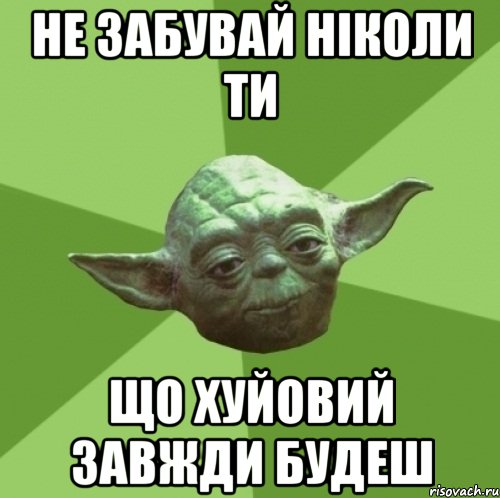 не забувай ніколи ти що хуйовий завжди будеш, Мем Мастер Йода