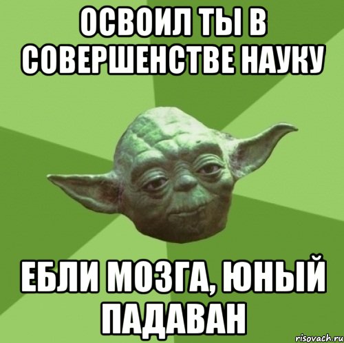 освоил ты в совершенстве науку ебли мозга, юный падаван, Мем Мастер Йода