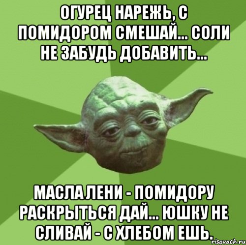 огурец нарежь, с помидором смешай... соли не забудь добавить... масла лени - помидору раскрыться дай... юшку не сливай - с хлебом ешь., Мем Мастер Йода