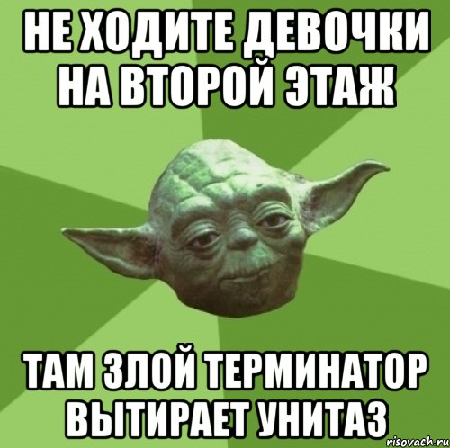 не ходите девочки на второй этаж там злой терминатор вытирает унитаз, Мем Мастер Йода