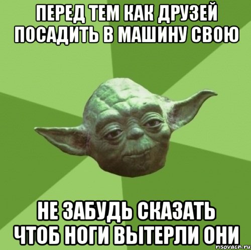 перед тем как друзей посадить в машину свою не забудь сказать чтоб ноги вытерли они, Мем Мастер Йода