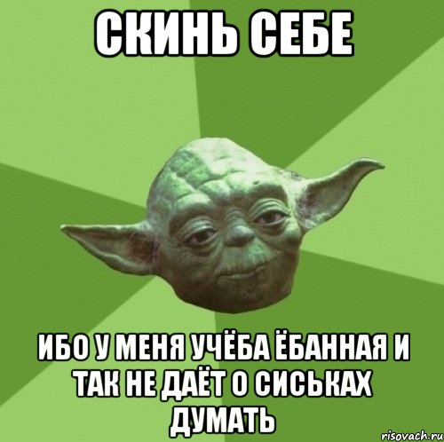 скинь себе ибо у меня учёба ёбанная и так не даёт о сиськах думать, Мем Мастер Йода