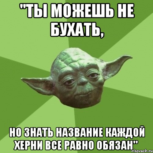 "ты можешь не бухать, но знать название каждой херни все равно обязан", Мем Мастер Йода