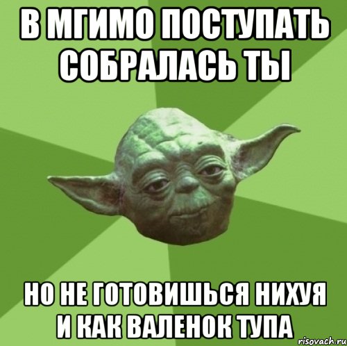 в мгимо поступать собралась ты но не готовишься нихуя и как валенок тупа, Мем Мастер Йода