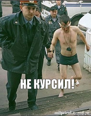 Не курсил! , Комикс менты