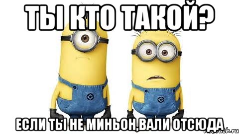 ты кто такой? если ты не миньон,вали отсюда, Мем Миньоны