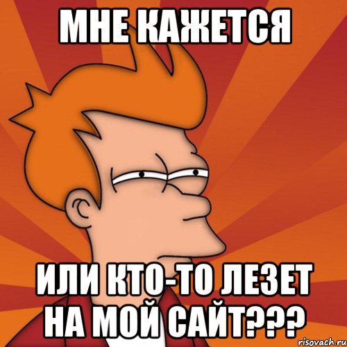 мне кажется или кто-то лезет на мой сайт???, Мем Мне кажется или (Фрай Футурама)