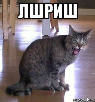 лшриш 