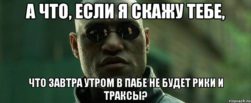 а что, если я скажу тебе, что завтра утром в пабе не будет рики и траксы?, Мем  морфеус