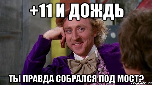 +11 и дождь ты правда собрался под мост?, Мем Ну давай расскажи (Вилли Вонка)