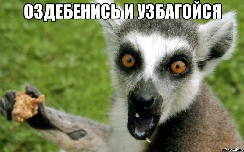 nado_29303903_big_.jpeg