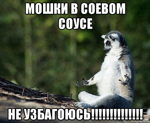 мошки в соевом соусе не узбагоюсь!!!, Мем не узбагоюсь