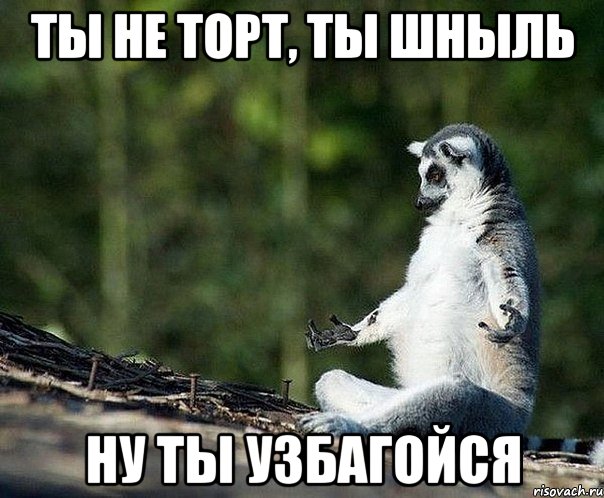 ты не торт, ты шныль ну ты узбагойся