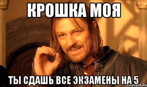 крошка моя ты сдашь все экзамены на 5, Мем Нельзя просто так взять и (Боромир мем)