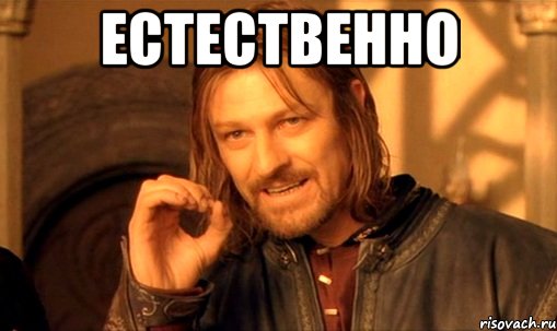естественно , Мем Нельзя просто так взять и (Боромир мем)