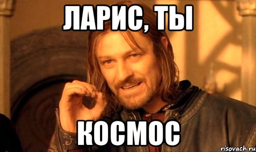 ларис, ты космос, Мем Нельзя просто так взять и (Боромир мем)