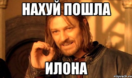 нахуй пошла илона, Мем Нельзя просто так взять и (Боромир мем)
