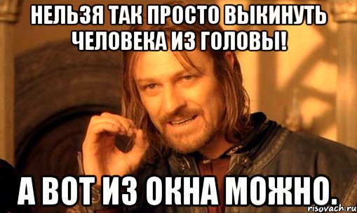 нельзя так просто выкинуть человека из головы! а вот из окна можно., Мем Нельзя просто так взять и (Боромир мем)