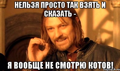 нельзя просто так взять и сказать - я вообще не смотрю котов!, Мем Нельзя просто так взять и (Боромир мем)
