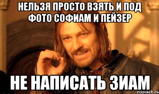 нельзя просто взять и под фото софиам и пейзер не написать зиам, Мем Нельзя просто так взять и (Боромир мем)