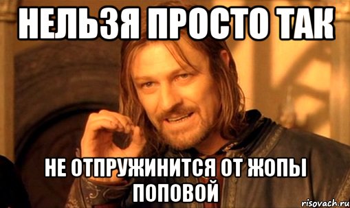нельзя просто так не отпружинится от жопы поповой, Мем Нельзя просто так взять и (Боромир мем)