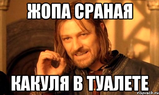 жопа сраная какуля в туалете, Мем Нельзя просто так взять и (Боромир мем)