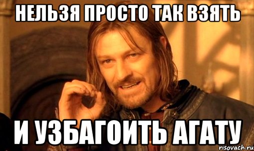 нельзя просто так взять и узбагоить агату, Мем Нельзя просто так взять и (Боромир мем)