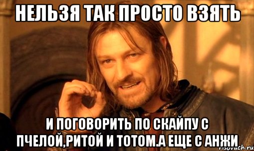 нельзя так просто взять и поговорить по скайпу с пчелой,ритой и тотом.а еще с анжи, Мем Нельзя просто так взять и (Боромир мем)