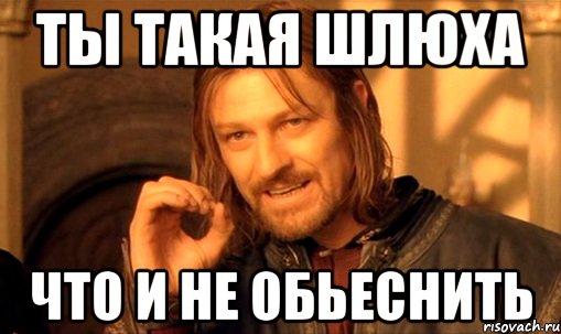 ты такая шлюха что и не обьеснить, Мем Нельзя просто так взять и (Боромир мем)