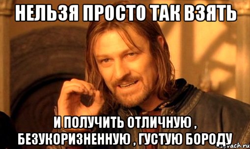 нельзя просто так взять и получить отличную , безукоризненную , густую бороду, Мем Нельзя просто так взять и (Боромир мем)