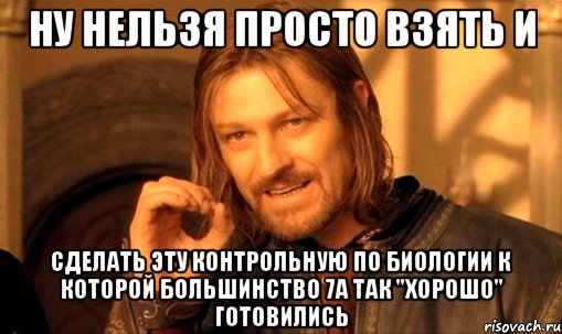 ну нельзя просто взять и сделать эту контрольную по биологии к которой большинство 7а так "хорошо" готовились, Мем Нельзя просто так взять и (Боромир мем)