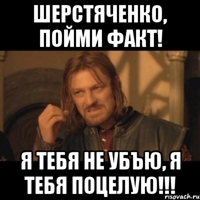 шерстяченко, пойми факт! я тебя не убъю, я тебя поцелую!!!, Мем Нельзя просто взять