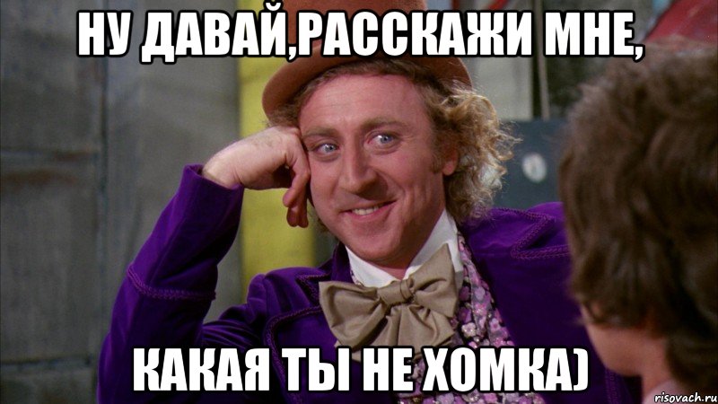 ну давай,расскажи мне, какая ты не хомка), Мем Ну давай расскажи (Вилли Вонка)