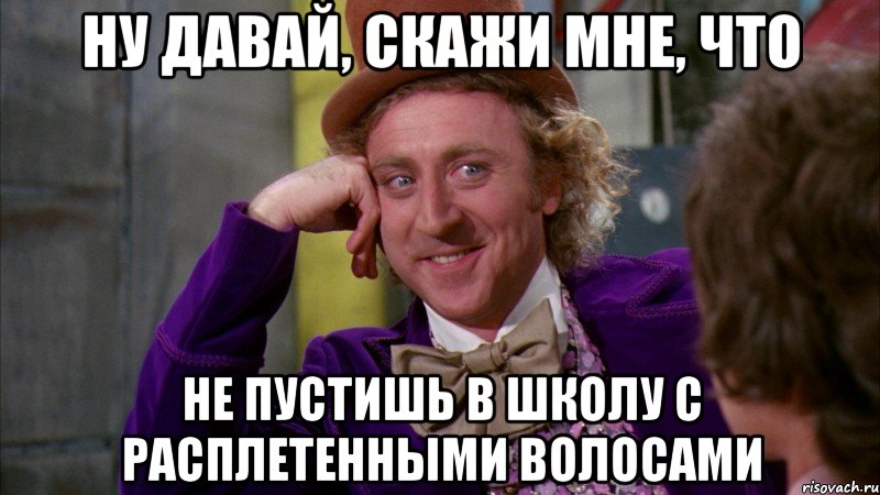 ну давай, скажи мне, что не пустишь в школу с расплетенными волосами, Мем Ну давай расскажи (Вилли Вонка)