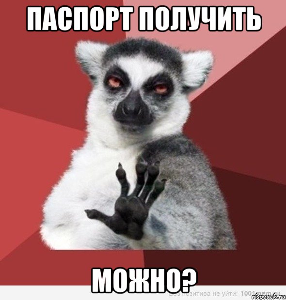 паспорт получить можно?