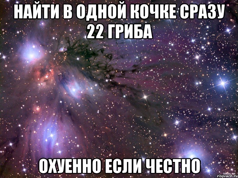 найти в одной кочке сразу 22 гриба охуенно если честно, Мем Космос